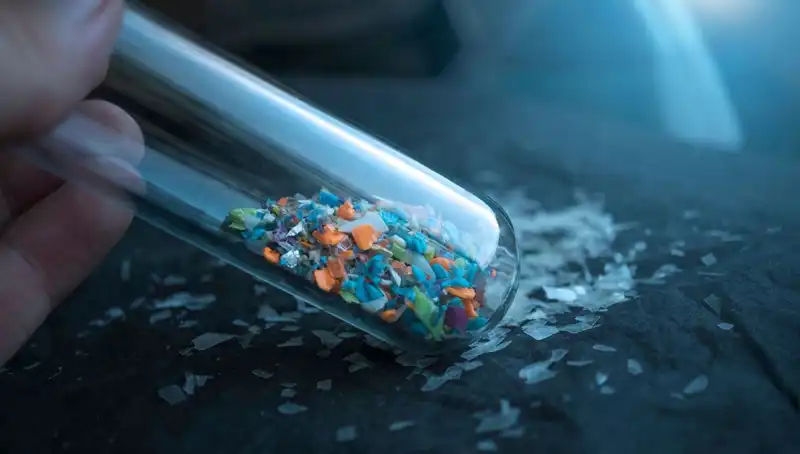 Mikroplastikler Beyin Sağlığını Nasıl Tehdit Ediyor? İşte Bilimsel Bulgular
