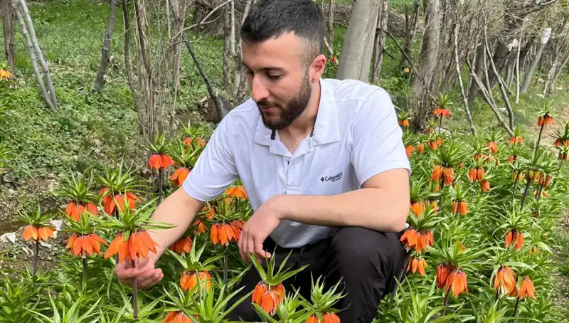 Ağlayan Gelin Çiçeği: Tehlike Altında, Cezası 244 Bin Lira!